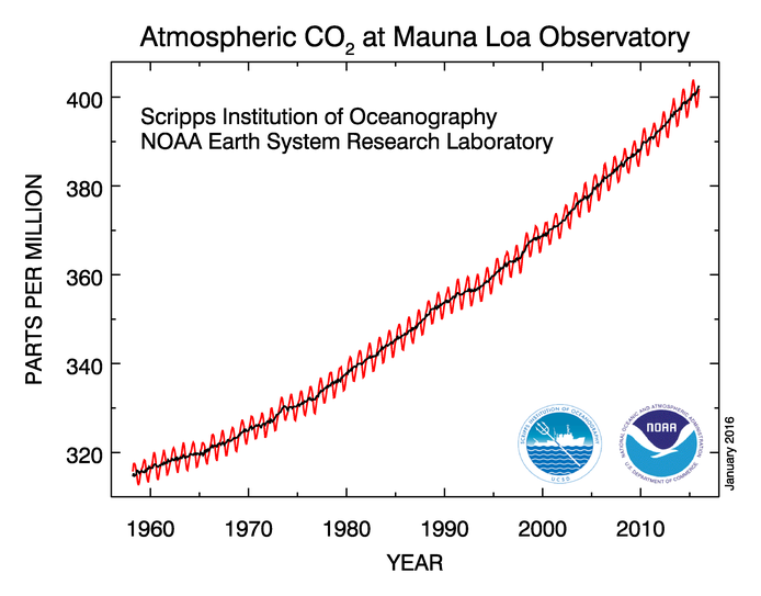 CO2- Konzentration seit Beginn der Messungen 1958 auf Mauna Loa. Zum Januar 2016 wurde der Wert von 400 ppm überschritten.