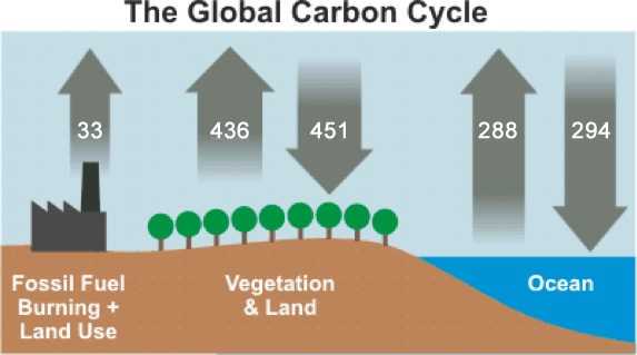 Der globale Kohlenstoffkreislauf (stark vereinfacht) – die Zahlen in den Pfeilen stehen für Milliarden Tonnen (Gigatonnen, Gt) Kohlendioxid pro Jahr, berechnet für den Durchschnitt der Jahre 2000-2009. Die Aufnahme durch Vegetation und Land sowie Ozeane ist größer als die Abgabe von CO2, da auch ein Teil der vom Menschen verursachten Emissionen (links) aufgenommen wird - aber eben nur ein Teil; Quelle: IPCC 2013, AR5, WG1, Kap.6, Abb.6.1 (Die dortigen Zahlenangaben beziehen sich auf Kohlenstoff, multipliziert mit 3,67 ergeben sich die Werte für Kohlendioxid.)